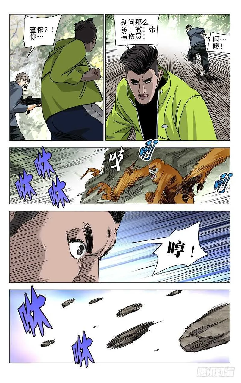 328.国家一级保护动物 第11页