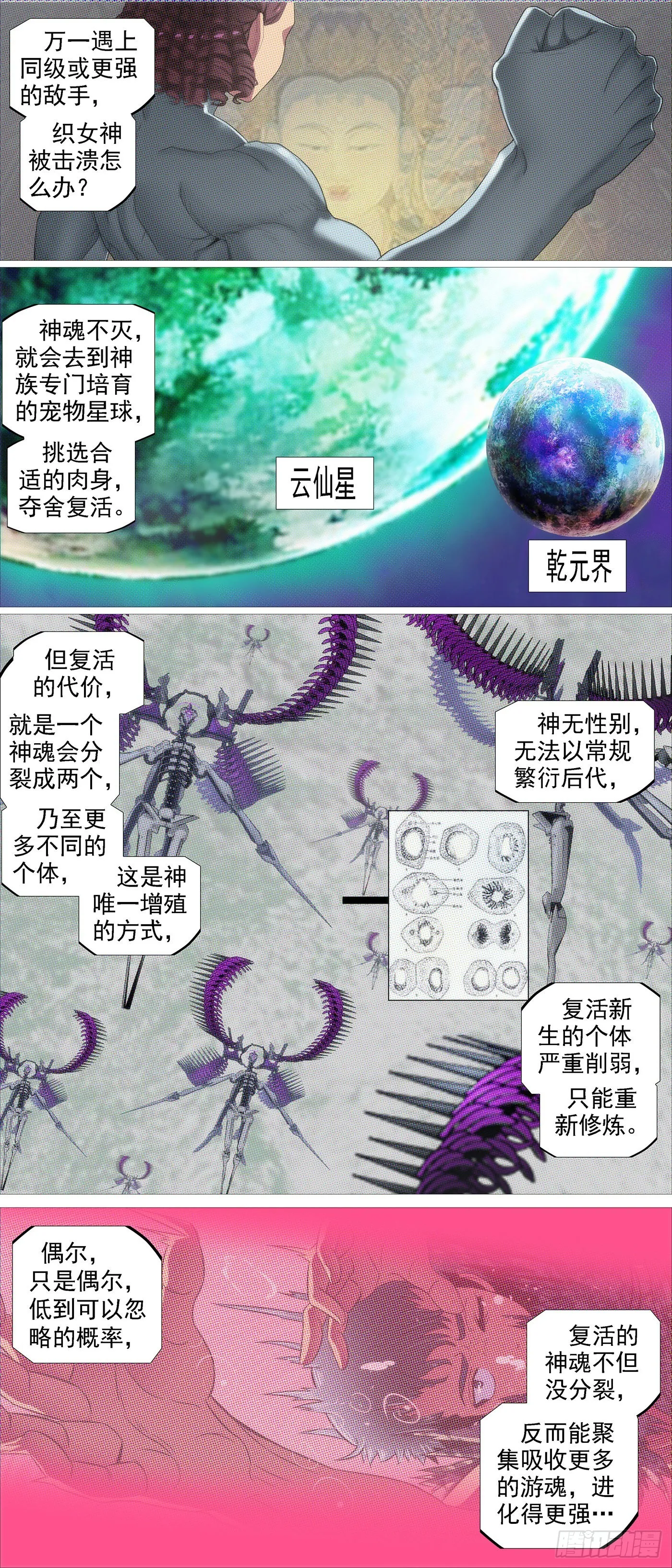 魂级由来 第2页