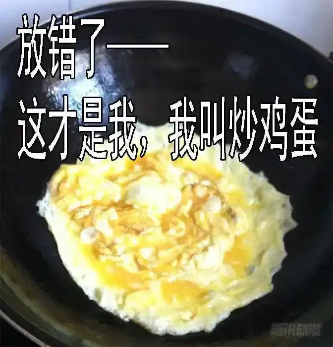 血翼渡星河 第11页