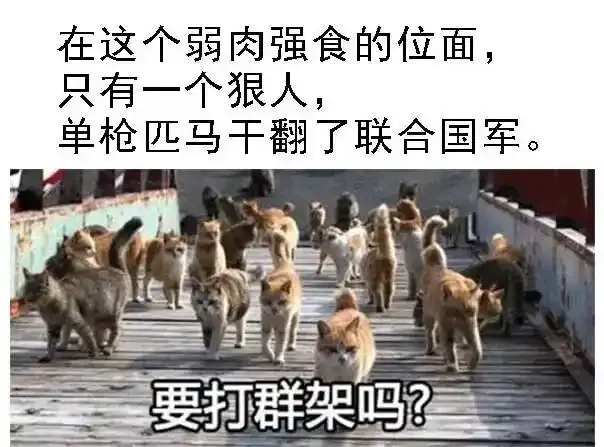 四手金刚 第13页