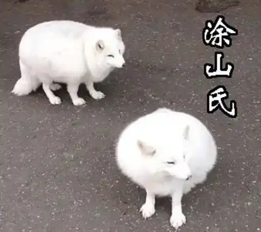 友好问候 第11页