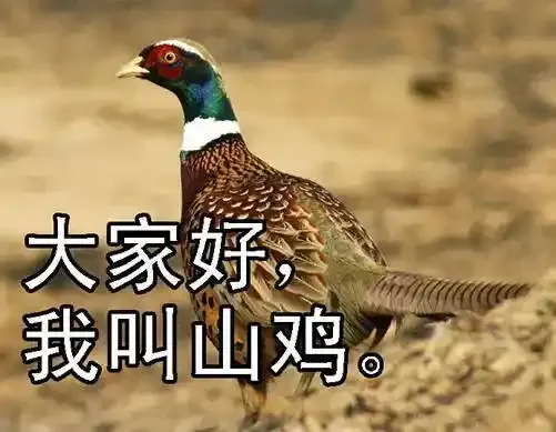 未知型号傀儡 第10页
