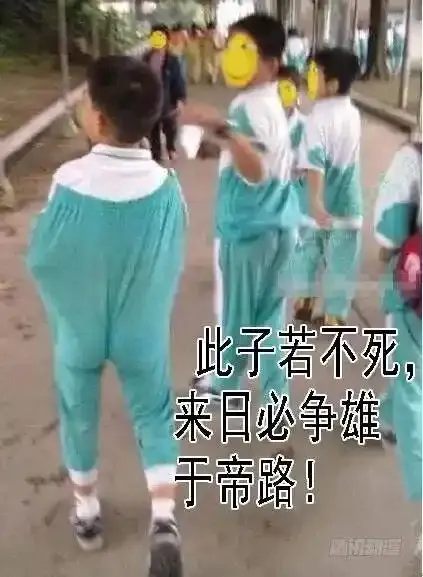 新家主 第15页