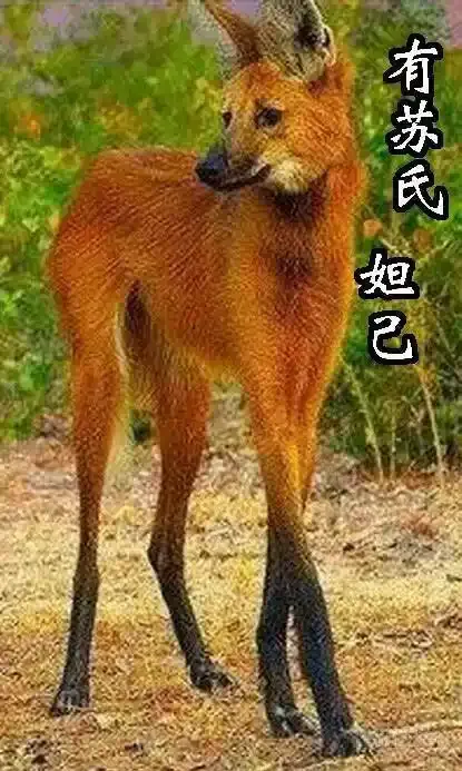 对不起我错了 第12页