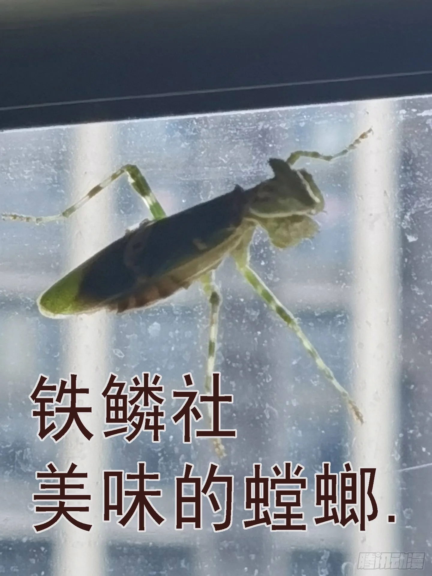 你的灵魂 第12页