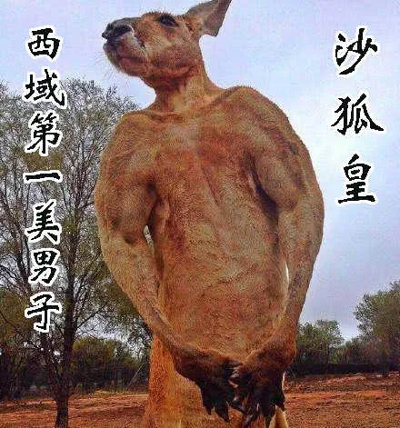 下一站，文曲王朝 第11页