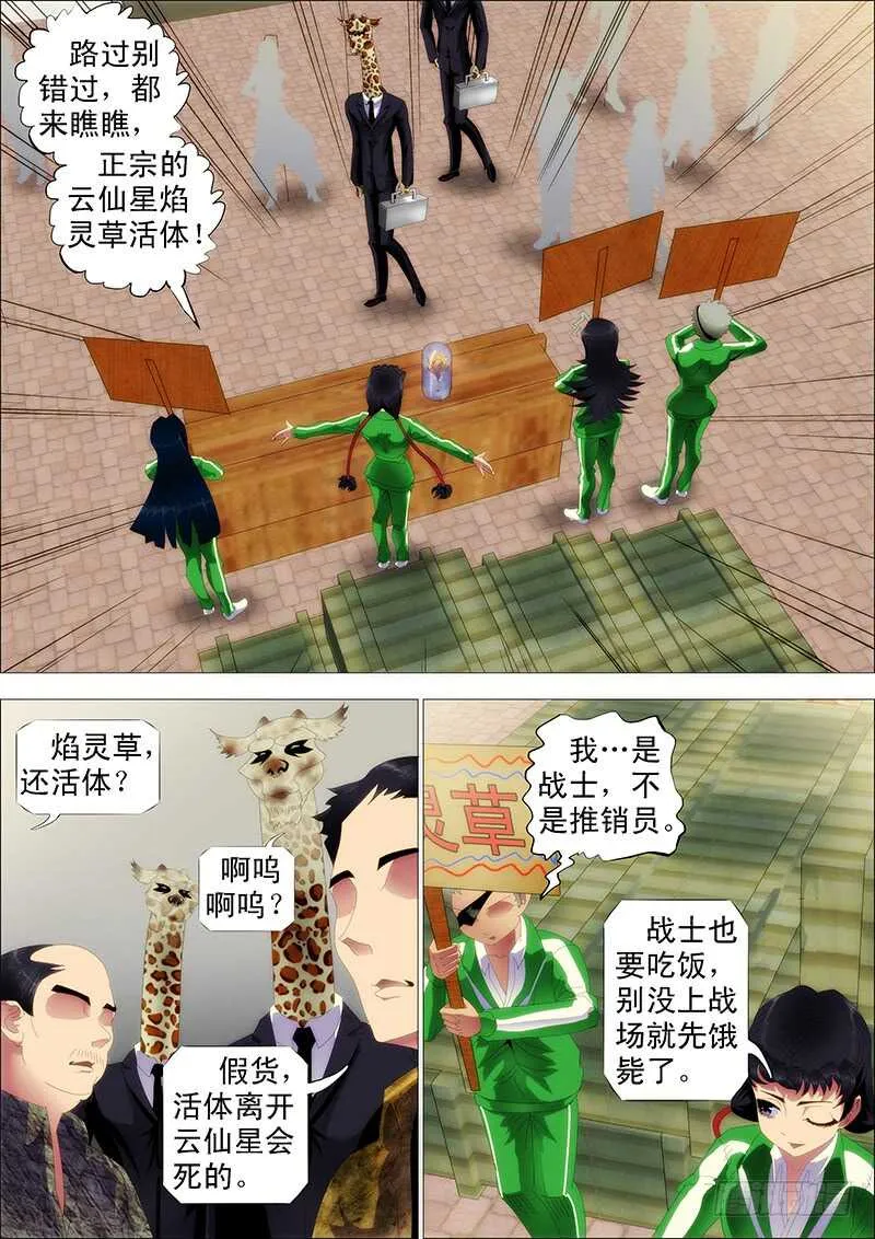 掉毛金乌不如鸡 第1页