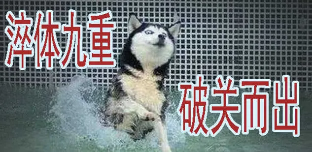 掉毛金乌不如鸡 第13页