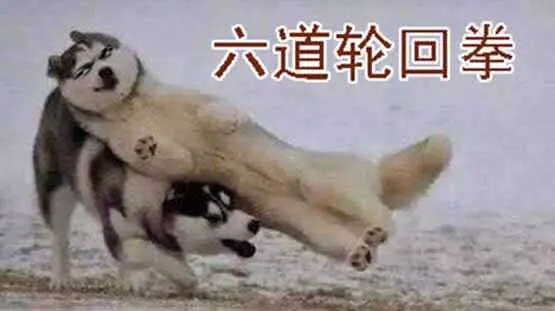 巨鲲要吃恶龙 第15页