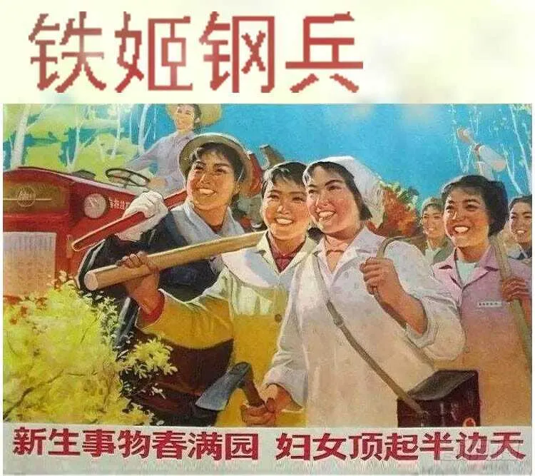 老师，跟我回舰队 第15页