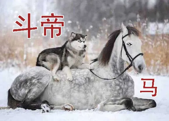 你不是我的学生该多好 第16页