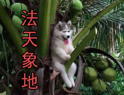 神尸战体 第16页