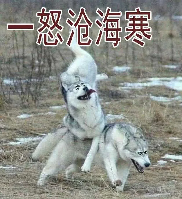 恶龙已死，唯我最强 第16页