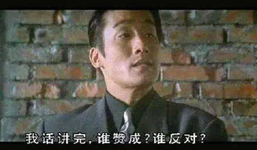 谁赞成，谁反对 第13页