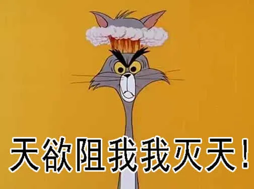 社会神 第16页
