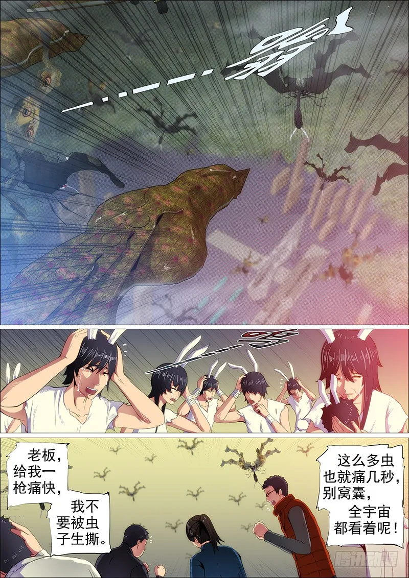 葫芦娃也没我多 第3页