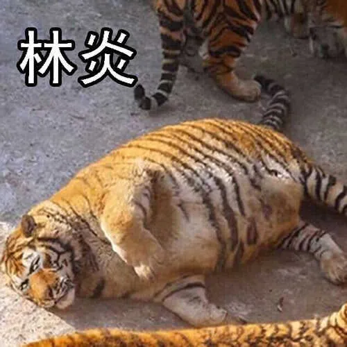 我追你~ 第16页