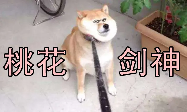 躺着中枪 第13页