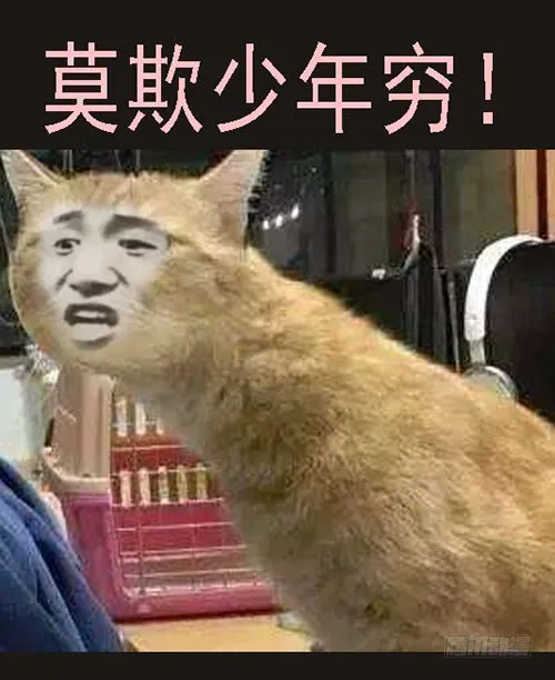 御林军 第14页