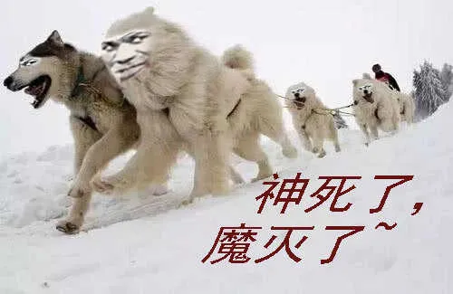 熊姐潜力多深？ 第14页