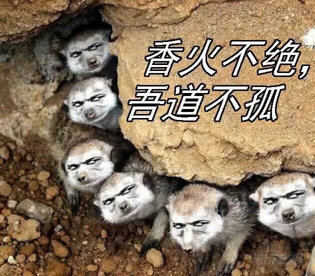 铁水刑 第16页