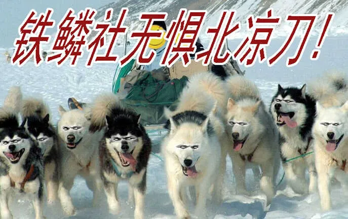 达瓦里格勒 第18页