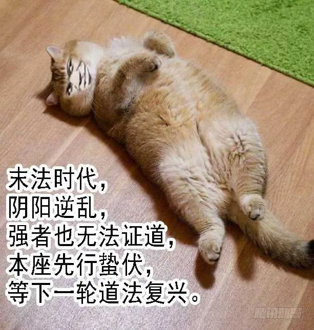 江山依旧 第16页