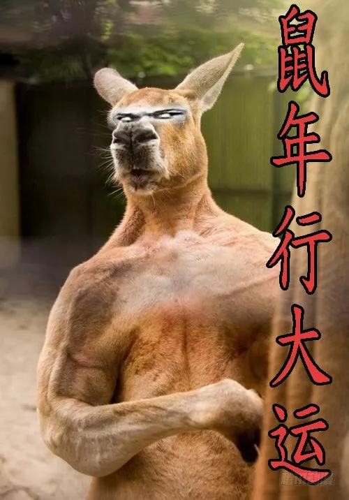 新年公告 第4页