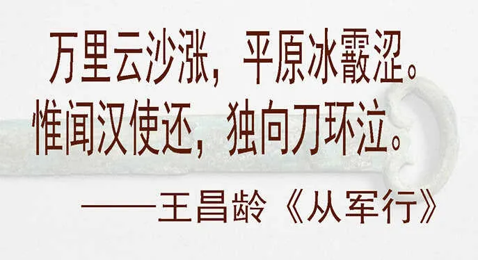 以身换刀心 第17页