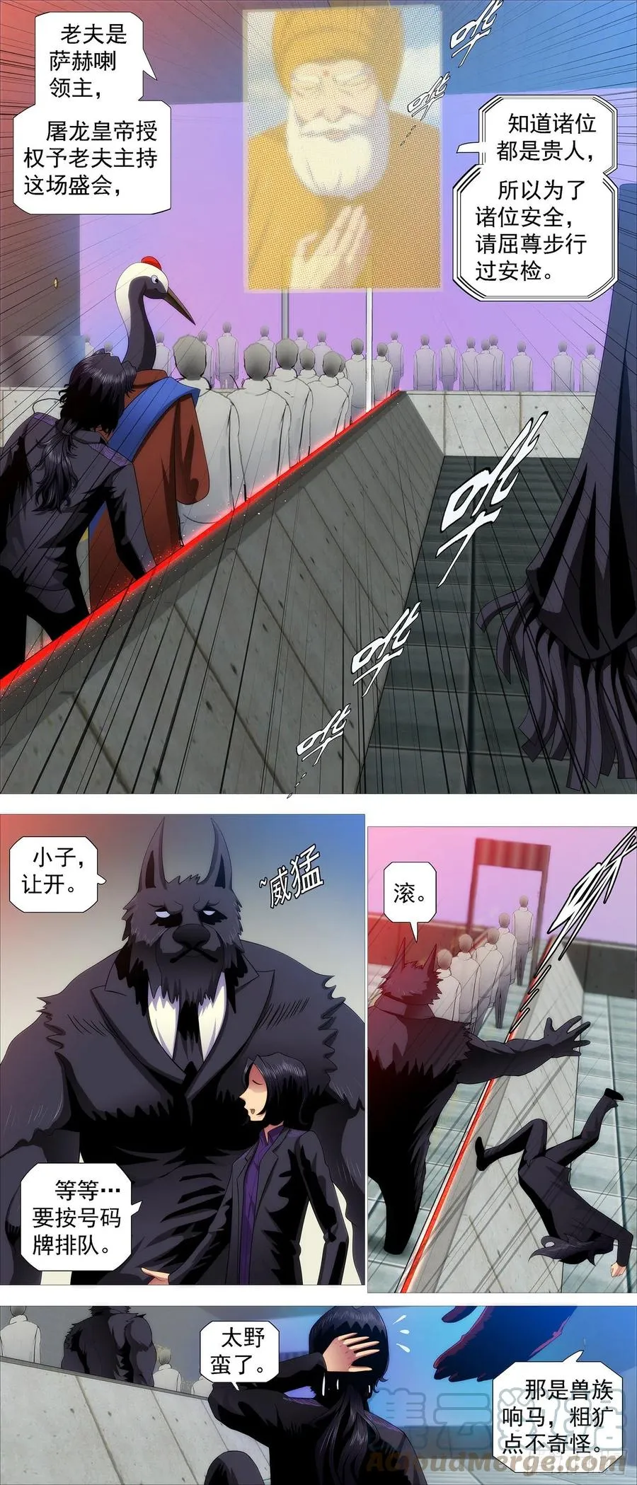 安检大阵 第11页