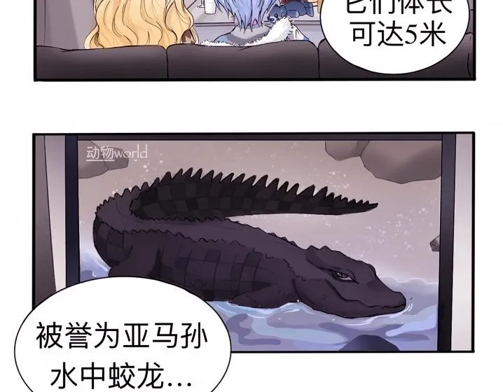 特別篇·北寶 第23页