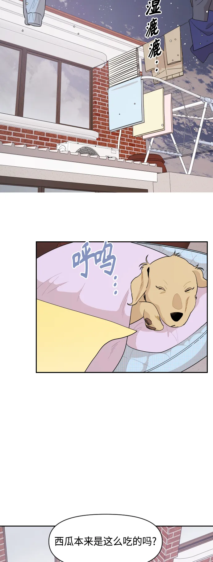 第51话 第5页