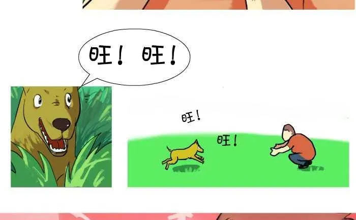14 失踪 第5页
