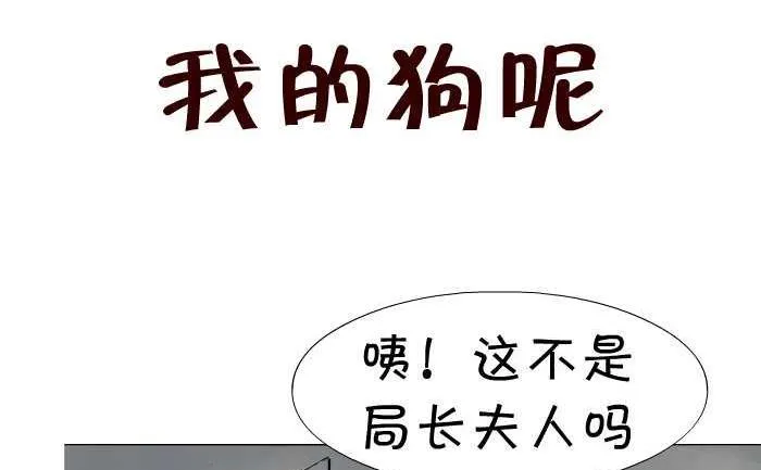 16 我的狗呢 第2页