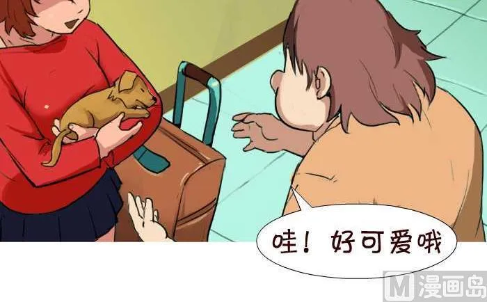 43 帮忙看狗 第3页