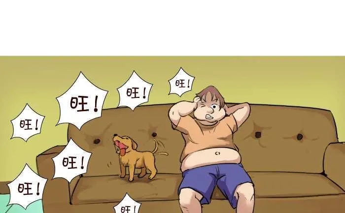 43 帮忙看狗 第4页