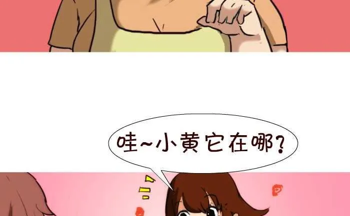 43 帮忙看狗 第14页