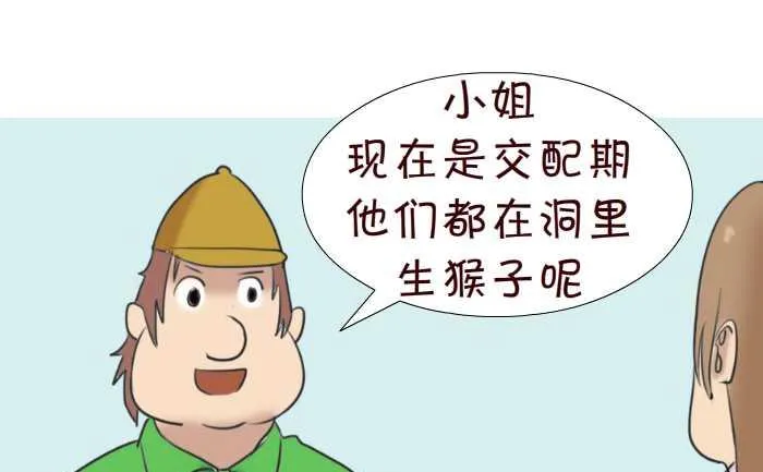 76 动物园 第7页