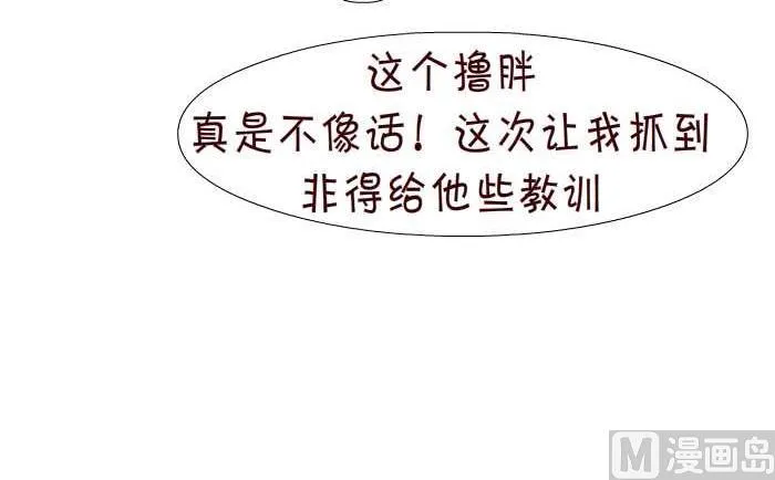 78 查岗 第6页