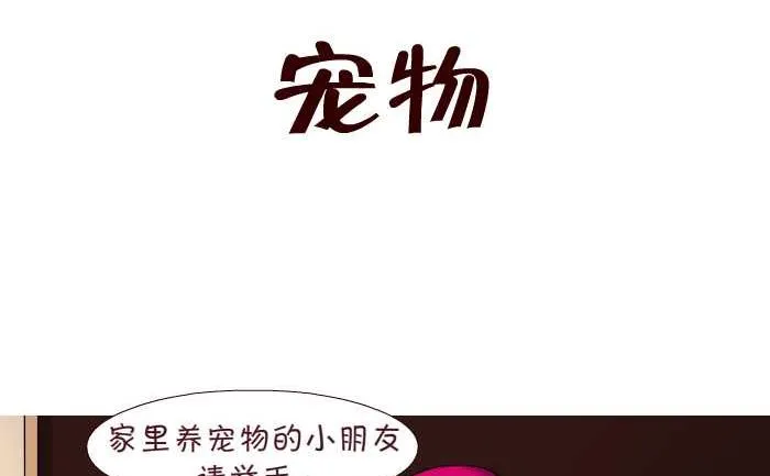 174 宠物 第2页