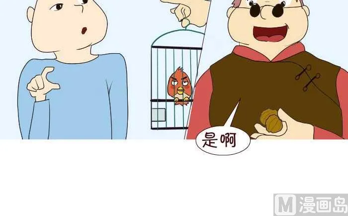 195 遛鸟 第6页