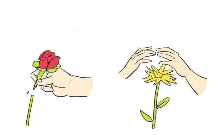 214 喜欢与爱 第16页