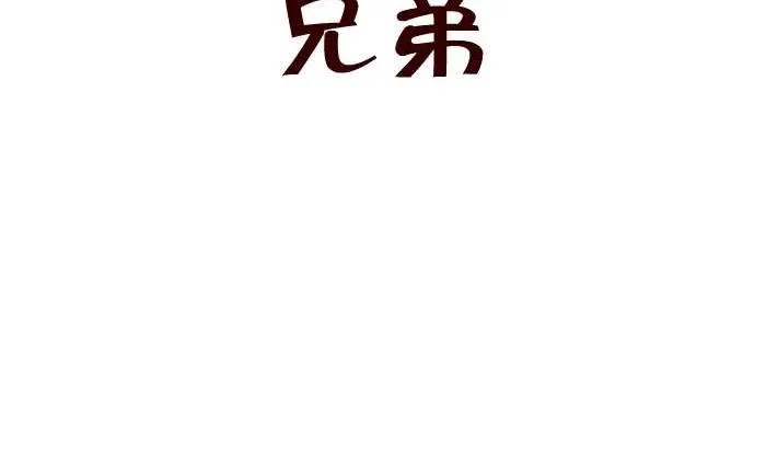 255 兄弟 第2页