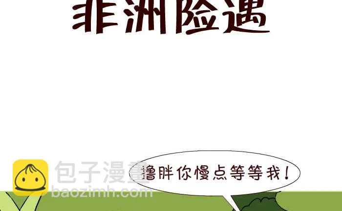 293 非洲险遇 第2页