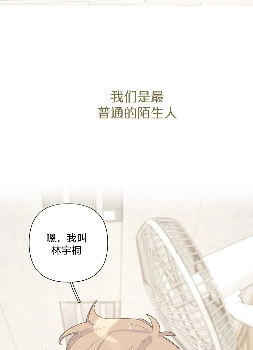 000 预告 第26页
