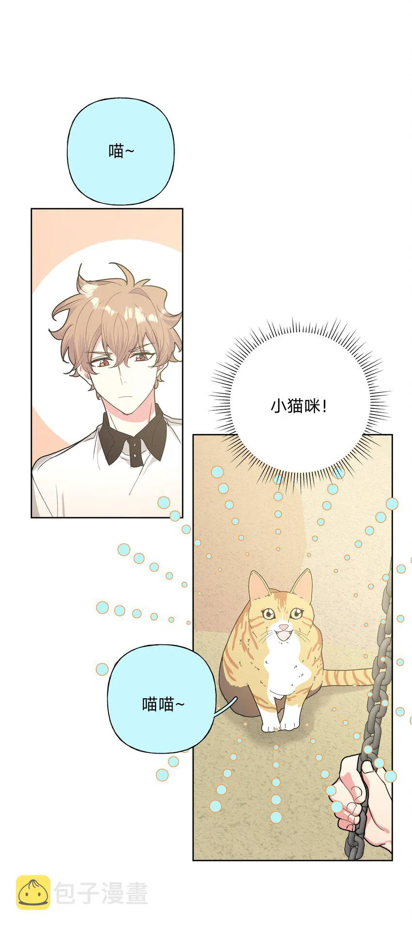 008 两只流浪猫 第37页