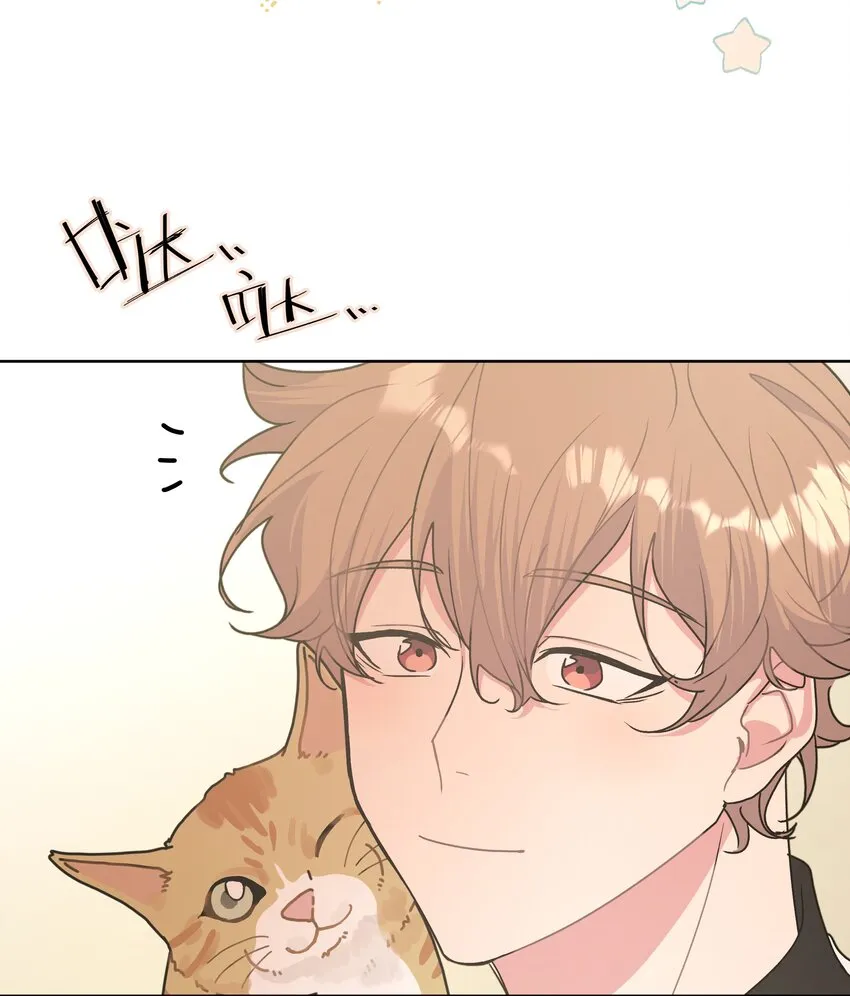 008 两只流浪猫 第39页
