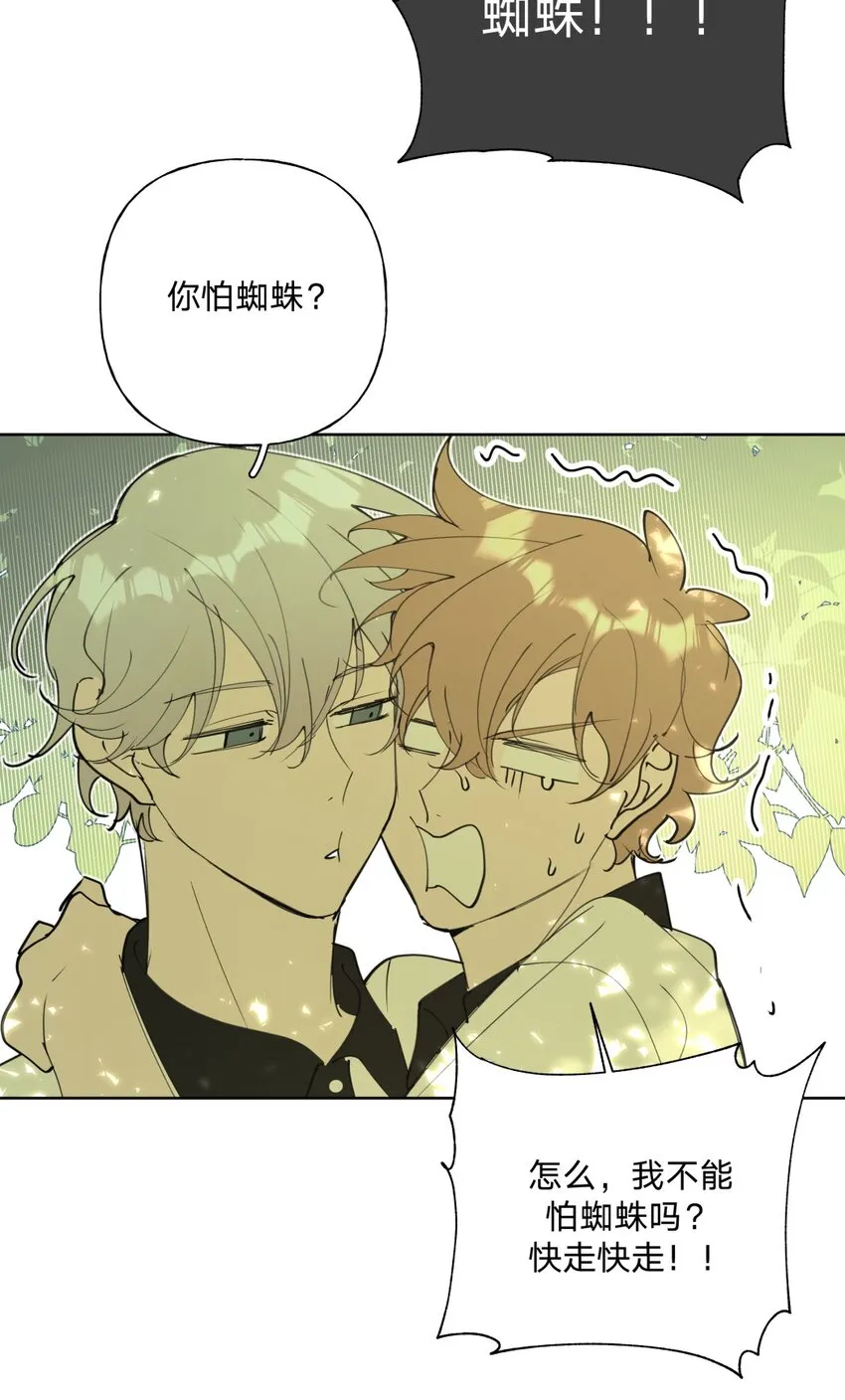 小番外 蜘蛛 第8页