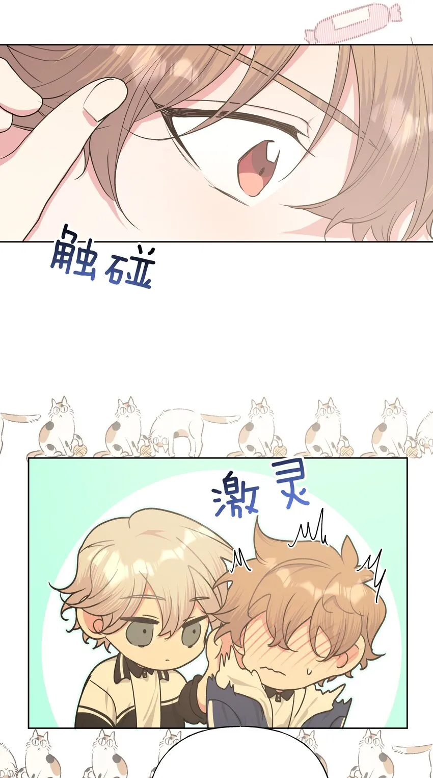 025 难道宇桐喜欢我？ 第46页