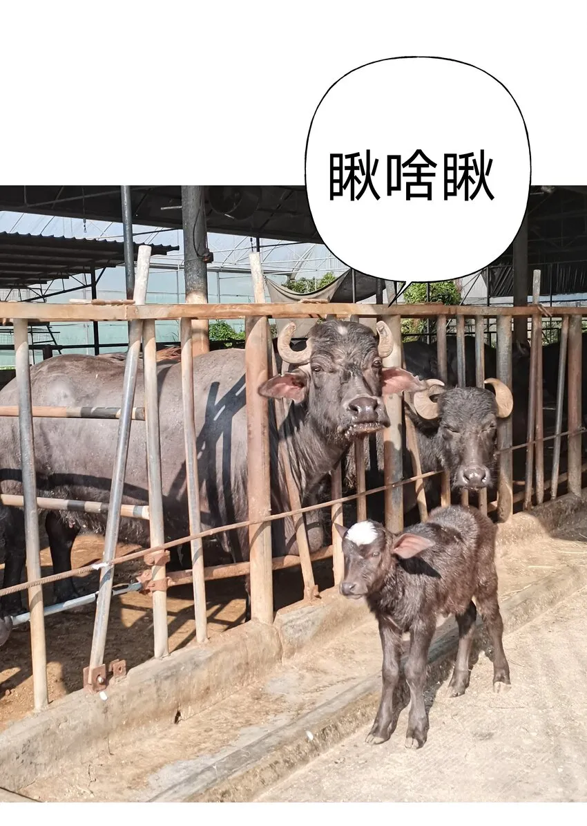 小番外 圣诞节 第21页